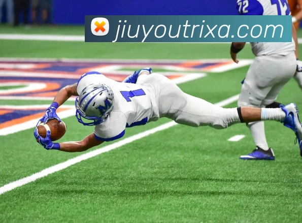 App Interface Preview